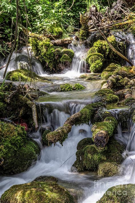 Waterfalls In A Mountain Stream Photograph By Bratislav Braca
