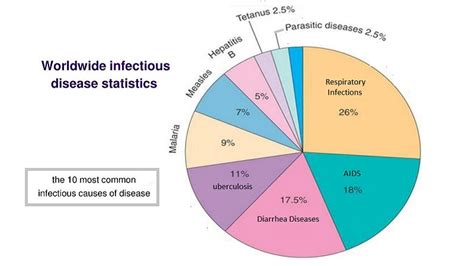 10 Most Common Infectious Diseases Helal Medical