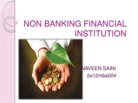 Non Banking Financial Institution