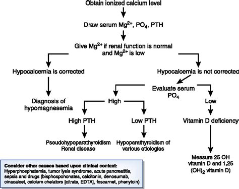 Figure 1 From Hypocalcemia In A Patient With Cancer Semantic Scholar