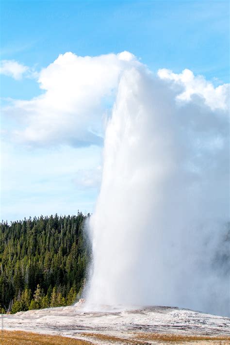 Old Faithful Geyser During Eruption In Yellowstone National Park By