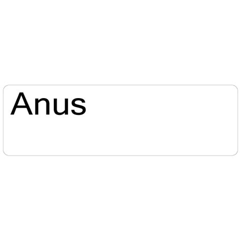 Anus Mermed