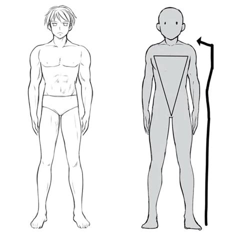 Update More Than Anime Male Anatomy Best Ceg Edu Vn