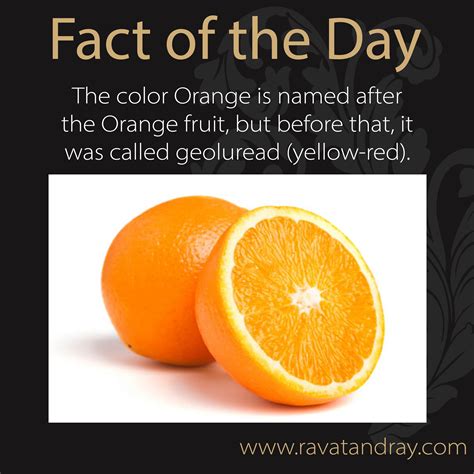 Pin By Ravat And Ray Dental Care On Fact Of The Day Orange Fruit Fact