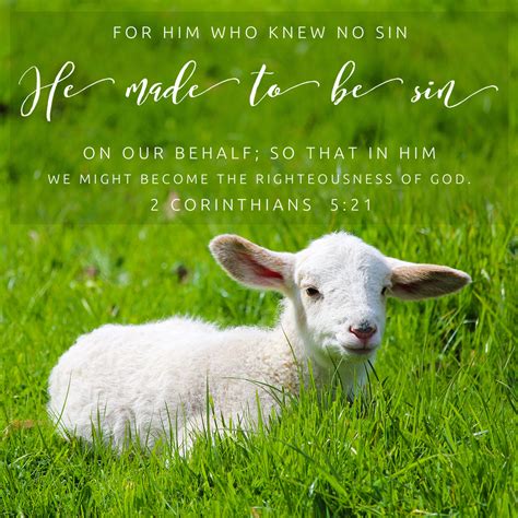 2 Cor 521 Sin On Our Behalf Encouraging Bible Verses