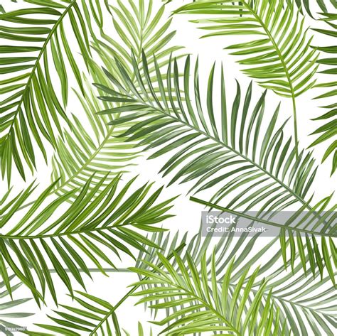 Seamless Tropical Palm Leaves Background For Design Scrapbook Stock