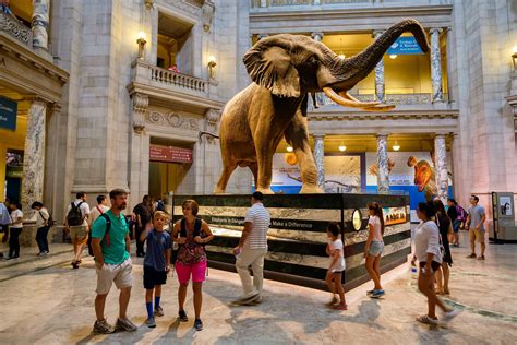 22 Free Things To Do In Washington Dc Lonely Planet