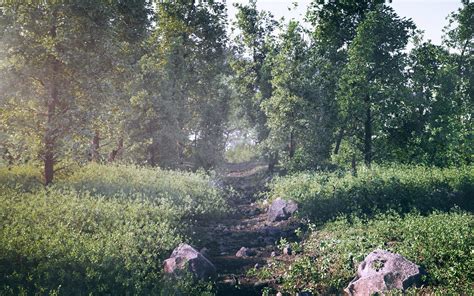 3d Model Forest Scene Vr Ar Low Poly Cgtrader