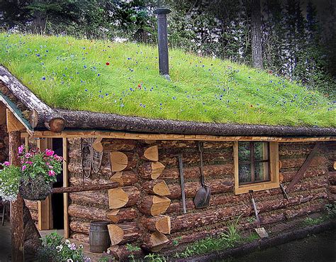 Cabin Cool Green Grass Woods Cabins Log Hd Wallpaper Peakpx