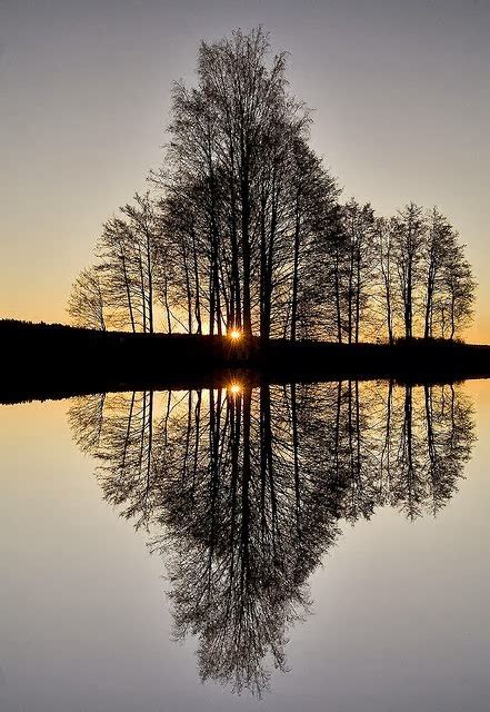 20 Amazing Reflections On Water