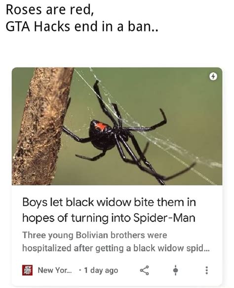 Roses Are Red Gta Hacks End In A Ban Boys Let Black Widow Bite Them