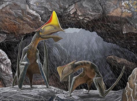 Pterosaur Pictures And Profiles