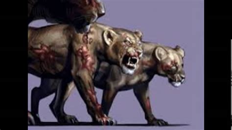 Animales Zombies Tribute. - YouTube