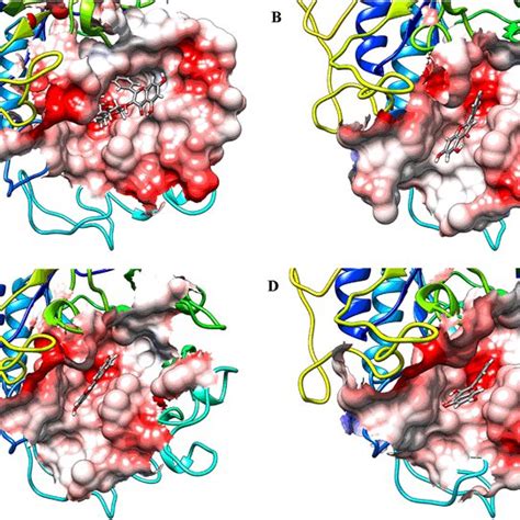 The Crystallography Structure Of Human Salivary α Amylase Hsa Protein