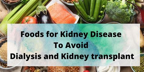 9 Best Food For Kidney Disease To Avoid Dialysis And Kidney Transplant