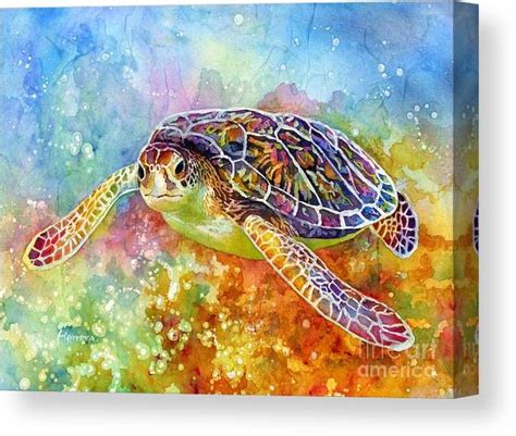 Sea Turtle Canvas Print Canvas Art By Hailey E Herrera Sea Turtle