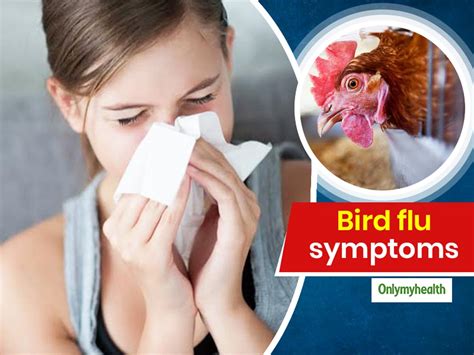 Bird Flu Treatment