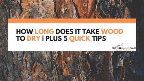 Well, the answer to that question is: How Long Does It Take Wood To Dry | Plus 5 Quick Tips