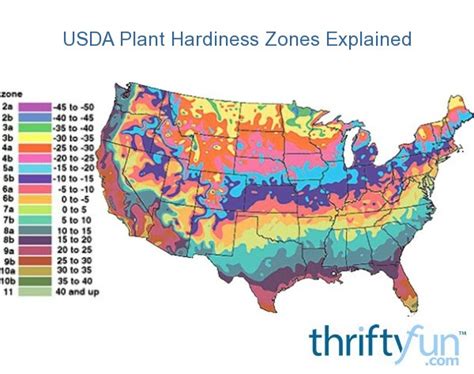 Get Into Your Growing Zone Usda Plant Hardiness Zones Explained Thriftyfun