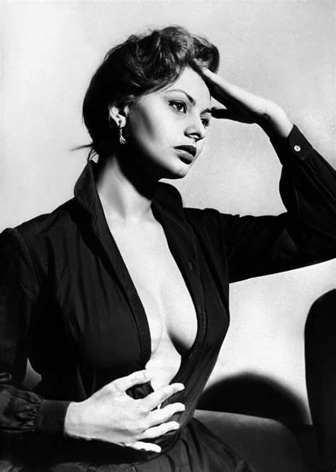 Sophia Loren Sophia Loren Sofia Loren Italian Actress