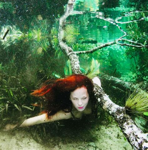 Pin By Victoria Watts On Pass Along For Fun Underwater Photography