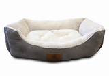 American Kennel Club Beds For Dogs Photos