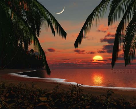 Tropical Beach Paradise Sunset 1944170 Hd Wallpaper And Backgrounds