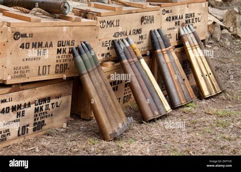 World War Ii 40mm Ammunition Shells Stock Photo 68160946 Alamy