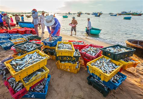 Vietnam Mũi Né An Oasis Between The Sea And Desert