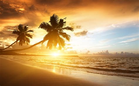 Caribbean Coast Beautiful Scenery Sunrise Palm Trees Sea Clouds