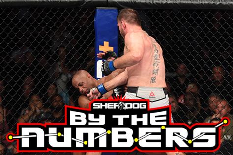 By The Numbers Ufc 241