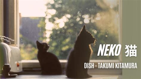 Neko 猫 Dish Takumi Kitamura English Vietsub Youtube
