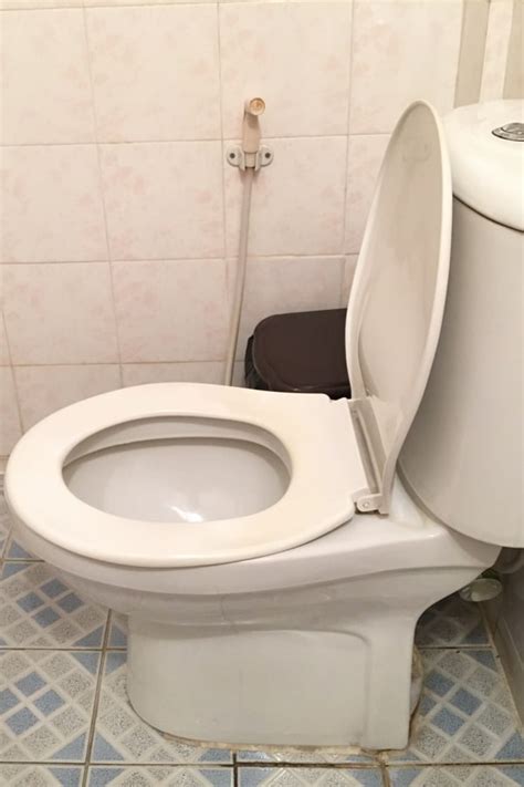 Best Types Of Toilet Seats Best Home Design Ideas