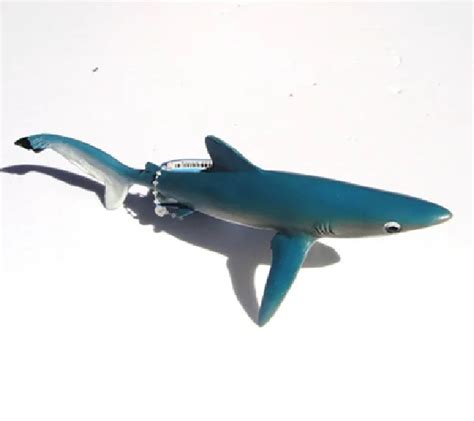 Blue Shark Model Marine Biological Model Toy Simulation Animal Model