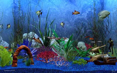 🔥 48 Animated Fish Aquarium Desktop Wallpapers Wallpapersafari
