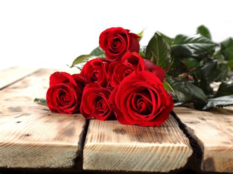 Bouquet Emotions Flowers For Gift Happy Life Love Romance Roses