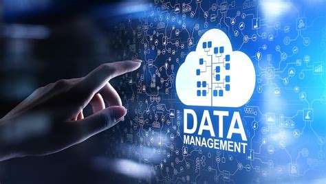 Enjoy Skyrocketing Profit Gains With Efficient Data Management