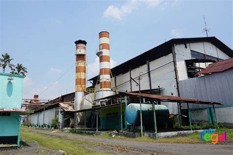 Sejarah Pabrik Gula Suiker Fabriek Di Tegal Infotegal