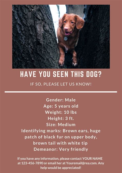 Lost Dog Flyer Template