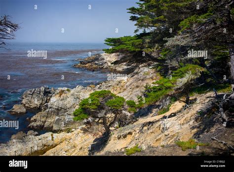 Pacific Ocean Seen From 17 Mile Drive Pebble Beach California Stock