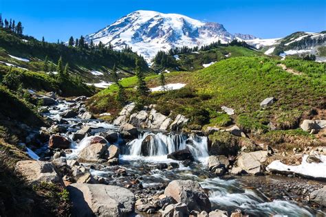 Best Seattle Day Trips Mt Rainier National Park Travel
