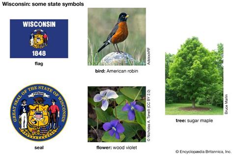 Wisconsin State Symbols Kids Britannica Kids Homework Help