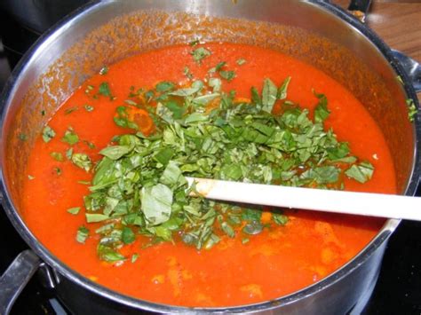Sugo di pomodoro Rezept mit Bild