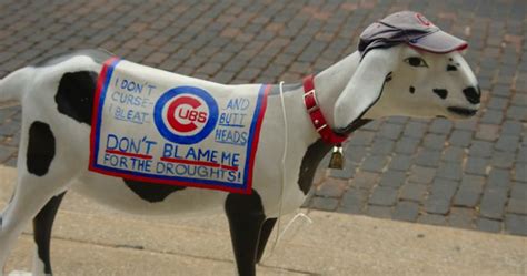 The End Of The Billy Goat Curse Why Cubs Fans Should Let It Go Cubs