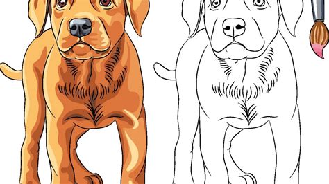 Como Dibujar Un Perro Paso A Paso How To Draw A Dog Youtube