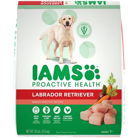 Fuel Your Labs Active Lifestyle With The Top 10 Lab Dog Foods For