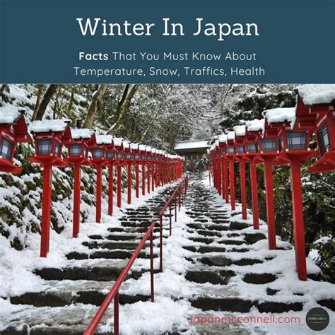 Winter In Japan