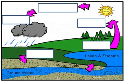 Water Cycle unlabeled | Water cycle | Pinterest | Water and Water cycle