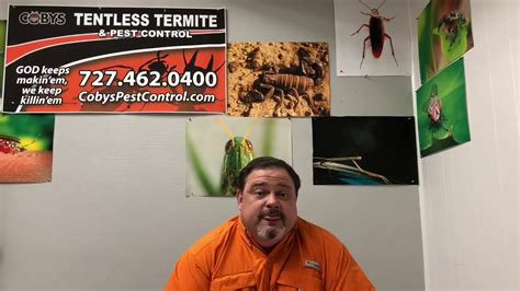 Maybe you would like to learn more about one of these? Pest Control Dunedin | Pest Control