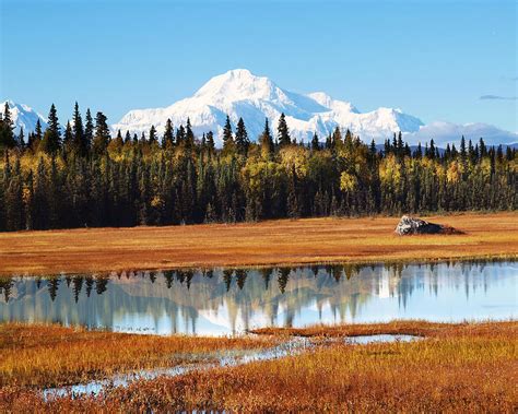 Alaska Denali Autumn In Petersville Digital Art By Dianne Roberson